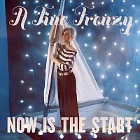 A Fine Frenzy – Now Is The Start