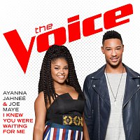 Ayanna Jahneé, Joe Maye – I Knew You Were Waiting (For Me) [The Voice Performance]