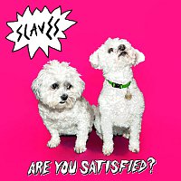 SOFT PLAY – Are You Satisfied? LP