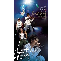 Leehom Wang – 2006 Heroes of Earth Live Concert