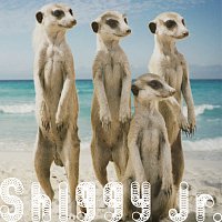 Shiggy Jr. – Summer Time Love