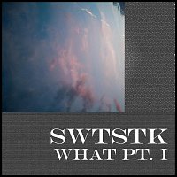 Přední strana obalu CD What pt. 1