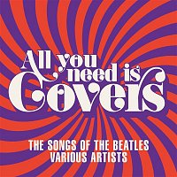 Various  Artists – All You Need Is Covers