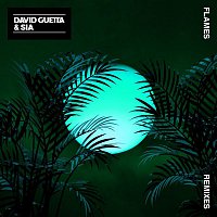 David Guetta & Sia – Flames (Remixes EP)