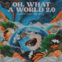 Kacey Musgraves – Oh, What a World 2.0 [Earth Day Edition]