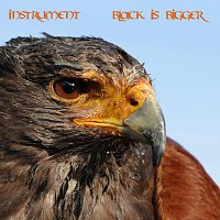 Přední strana obalu CD Instrument