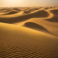 Přední strana obalu CD Golden Sand