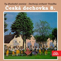 Přední strana obalu CD Česká dechovka 8./Dechový orchestr Veselka Ty jihočeské vesnice
