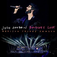 Přední strana obalu CD Bridges Live: Madison Square Garden