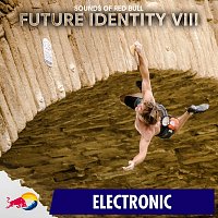 Přední strana obalu CD Future Identity VIII