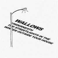 Wallows – Underneath the Streetlights in the Winter Outside Your House