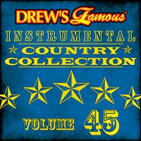 The Hit Crew – Drew's Famous Instrumental Country Collection [Vol. 45]