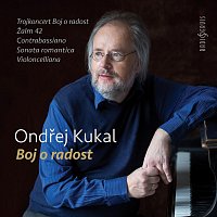 Kalliopé Trio Prague, AKS Orchestra, Roman Janál, Pilsen Philharmonic Orchestra – Ondřej Kukal: Struggle for Joy (Live)