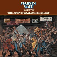Marvin Gaye – I Want You: The John Morales M+M Mixes