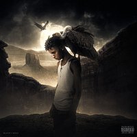 Faneto – Vulture Activity
