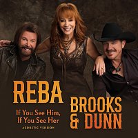 Reba McEntire, Brooks & Dunn – If You See Him, If You See Her [Acoustic Version]