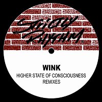 Josh Wink – Higher State Of Consciousness ( The European Remixes)