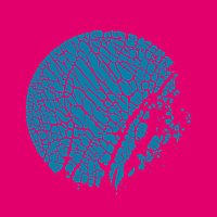 Přední strana obalu CD now (???????????????????????????????????????????)