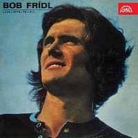 Bob Frídl – Jen vítr to ví MP3