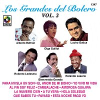 Různí interpreti – Los Grandes Del Bolero, Vol. 2