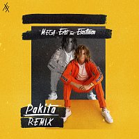 MEGA-Ertsi, Elastinen – Pakita [Remix]