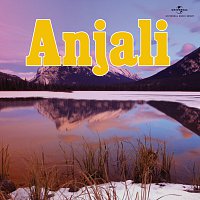 Různí interpreti – Anjali