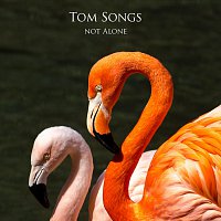 Přední strana obalu CD Not Alone