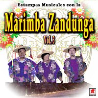 Estampas Musicales Con La Marimba Zandunga, Vol. 3