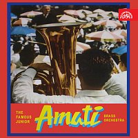 Das Junior Amati - Blasorchester