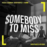 Pascal Letoublon, David Puentez, Remme – Somebody To Miss [David Puentez VIP Remix]