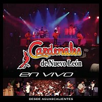 Cardenales De Nuevo León – En Vivo Desde Aguascalientes