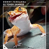 Přední strana obalu CD DJ Tokek Samnge