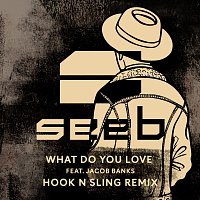 Seeb, Jacob Banks – What Do You Love [Hook N Sling Remix]