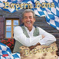 Přední strana obalu CD De zwoate