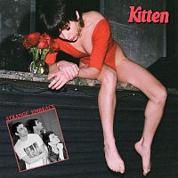 Přední strana obalu CD Strange Embrace