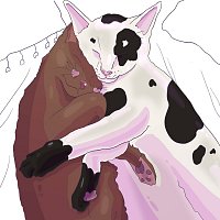 Přední strana obalu CD how come you never call