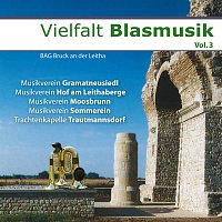 Různí interpreti – Vielfalt Blasmusik Vol.3 - BAG Bruck an der Leitha