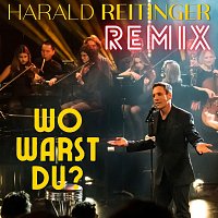 Harald Reitinger – Wo warst Du (Remix) [Remix]