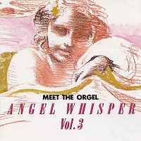 The Angel Whispers – Meet The Orgel -Lennon & McCartney Works Angel Whisper Vol. 3-