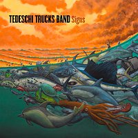 Tedeschi Trucks Band – They Don't Shine