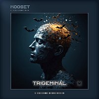 Přední strana obalu CD Trigeminal