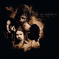Pain Of Salvation – Road Salt Two