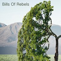Detestable Women Without Remorse – Bills Of Rebels
