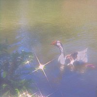 stickxr – za rękę