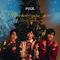 P1X3L – Wherever You Are [Winter Version]