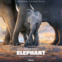 Přední strana obalu CD Elephant [Original Soundtrack]