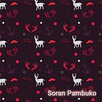 Přední strana obalu CD Soran Pambuko