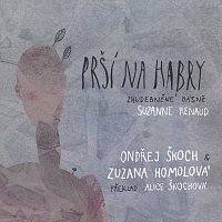 Ondřej Škoch, Zuzana Homolová – Prší na habry MP3
