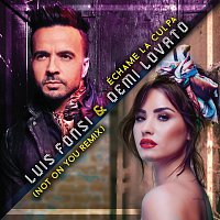 Luis Fonsi, Demi Lovato – Échame La Culpa [Not On You Remix]