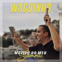 Waguinho – Motivo do Meu Samba